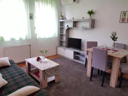 Novi Sad - Centar | 4zida.rs