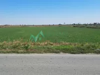 Kovilj, Okolne lokacije, Novi Sad | 4zida.rs