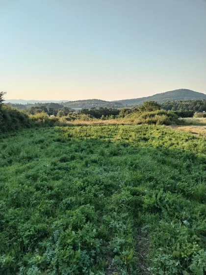 Žunje | 4zida.rs