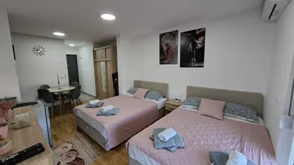 Nemanjina | 4zida.rs