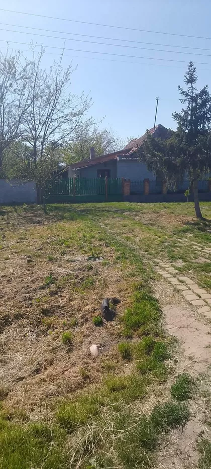 Koste Kljajića 5 | 4zida.rs