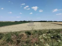 Novi Banovci, Okolne lokacije, Stara Pazova | 4zida.rs