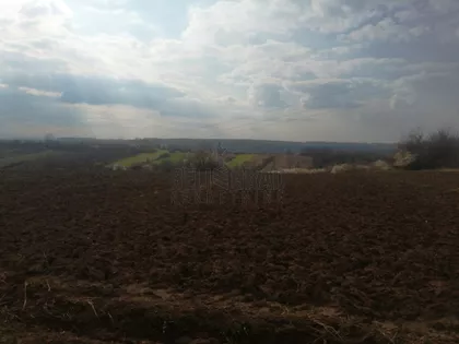 Kosinac | 4zida.rs