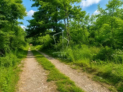 Ritopečka | 4zida.rs
