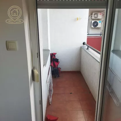 Rotkvarija | 4zida.rs