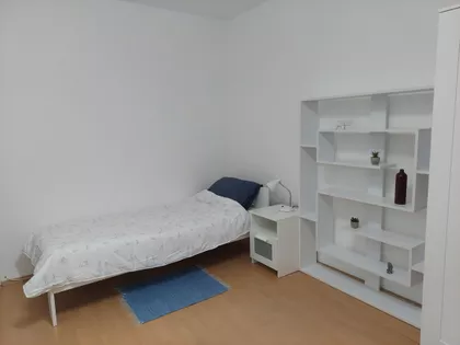 Radijalac | 4zida.rs
