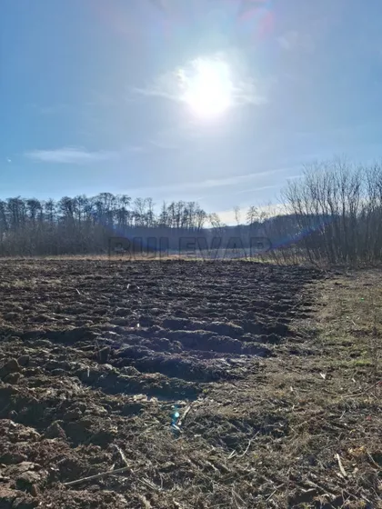 Jelašnica | 4zida.rs