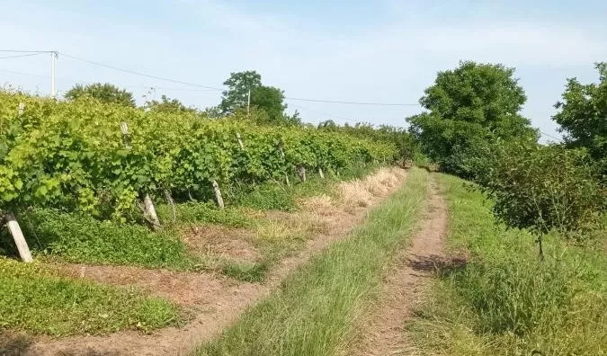 Poljoprivredno zemljište | 4zida