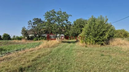 Bački Vinogradi | 4zida.rs