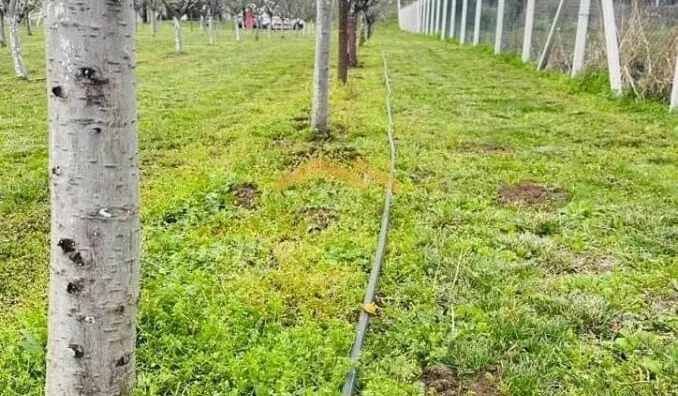 Plac | 4zida