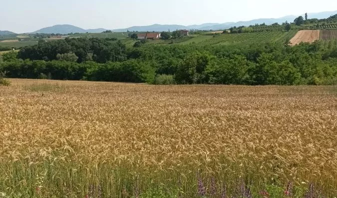 Poljoprivredno zemljište | 4zida