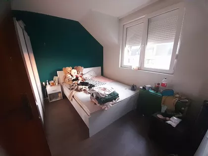 Kolonija | 4zida.rs