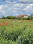 Novi Sad, Okolne lokacije, Čenej | 4zida.rs | 4zida.rs