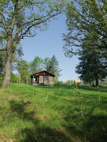 Veliki Borak | 4zida.rs