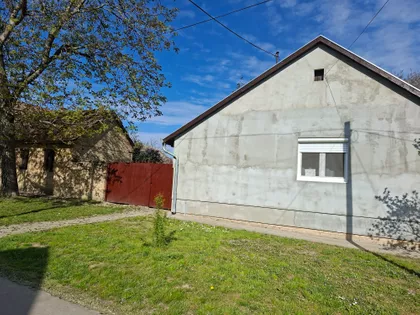 Dunavska 8 | 4zida.rs