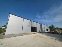 Hala | 4zida
