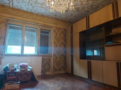 Šandora Olaha | 4zida.rs