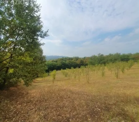 Plac | 4zida