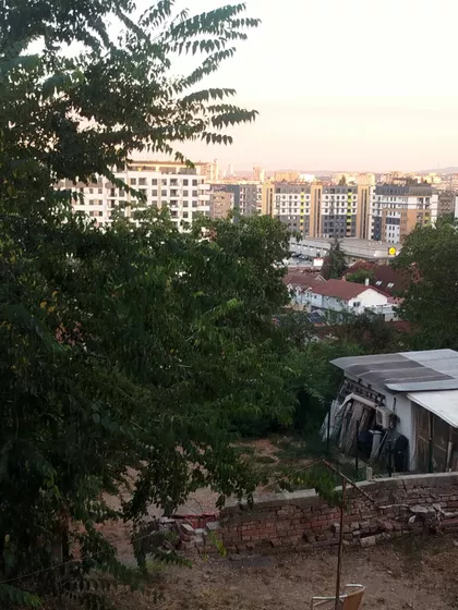 Dr Nedeljka Ercegovca | 4zida.rs