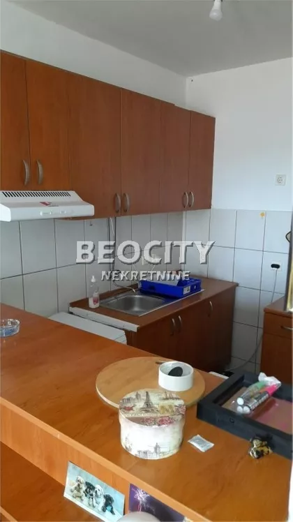 Petra Drapšina | 4zida.rs