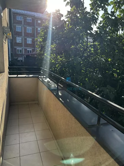 Đorđa Pavlovića | 4zida.rs