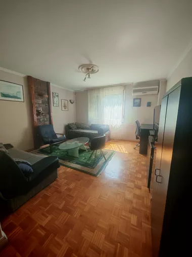 Vojislava Ilića