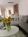 Adice, Gradske lokacije, Novi Sad | 4zida.rs | 4zida.rs