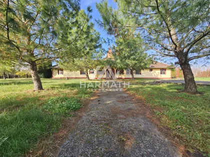 Horgoški put | 4zida.rs