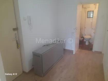 Žila Verna | 4zida.rs