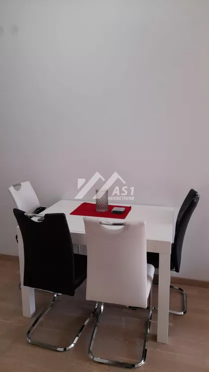 Dr Svetislava Kasapinovića | 4zida.rs