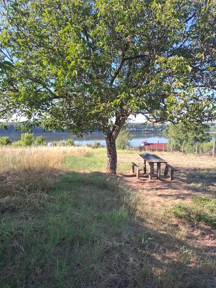 Krčedin | 4zida.rs
