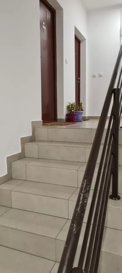 Miljana Miljanića | 4zida.rs