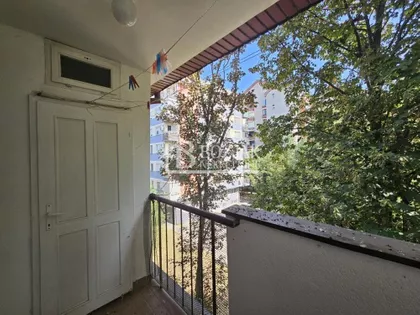 Ruže Šulman | 4zida.rs