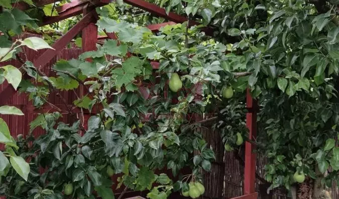 Poljoprivredno zemljište | 4zida