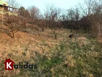 Plac | 4zida