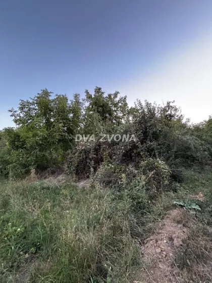 Čortanovci | 4zida.rs