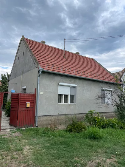 Zeleni Sokak 29 | 4zida.rs