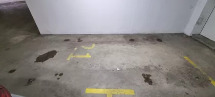 Devet Jugovića | 4zida.rs