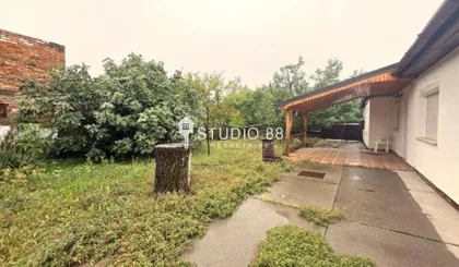 Berbersko | 4zida.rs