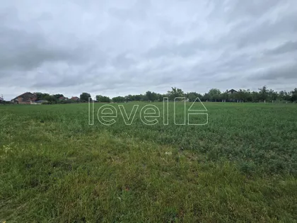 Jarkovci | 4zida.rs