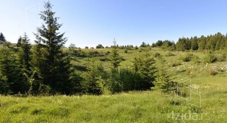 Plac | 4zida