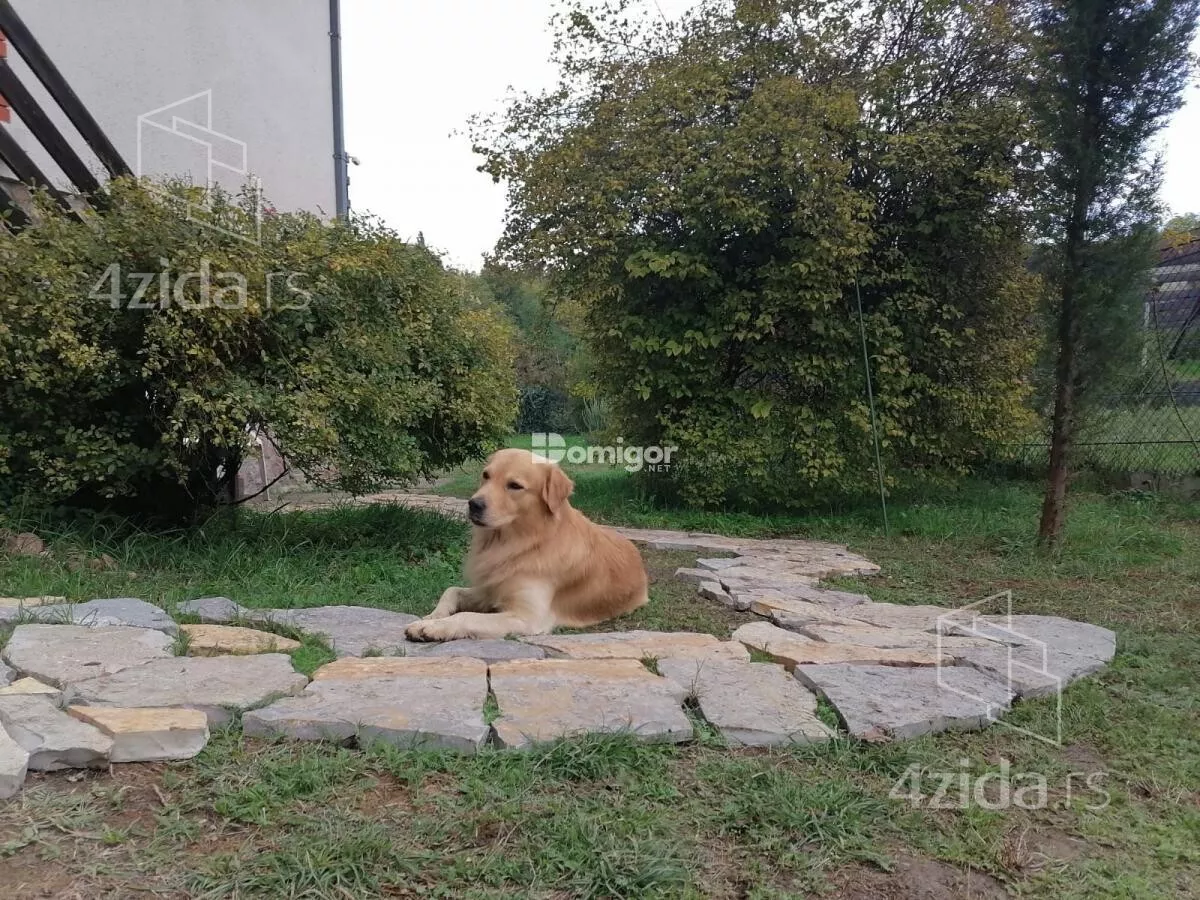 Kuća | 4zida