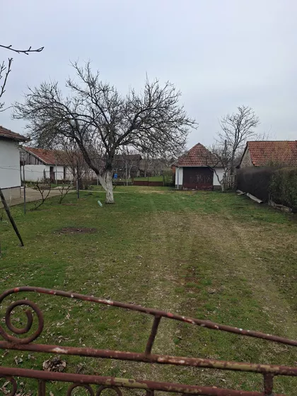 Dalmatinska 11 | 4zida.rs