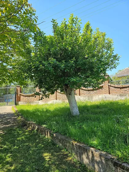 Nikole Tesle 16 | 4zida.rs