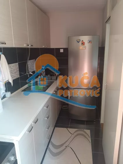 Knjaževačka | 4zida.rs