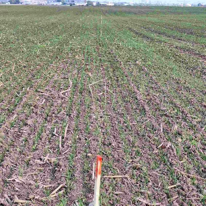 Autoput Beograd - Zagreb | 4zida.rs