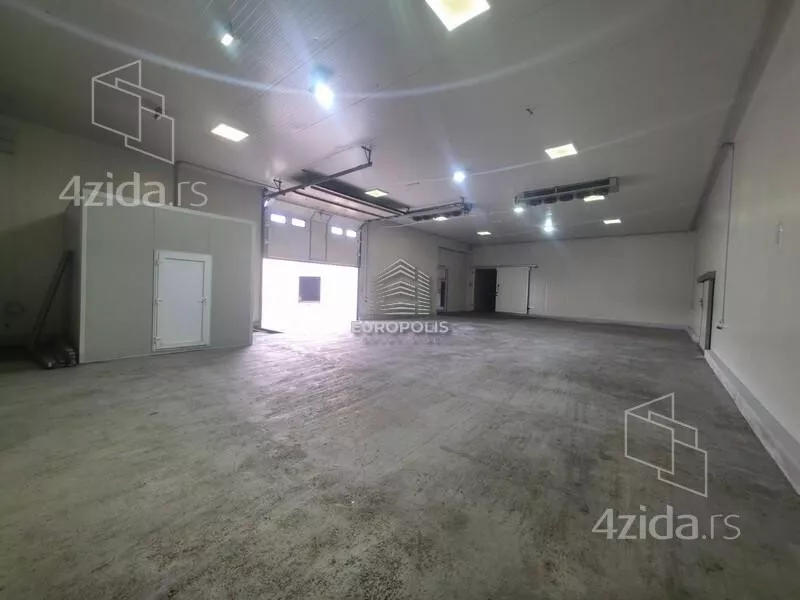 Hala | 4zida
