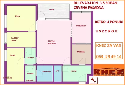 LION-BULEVAR KRALJA ALEKSANDRA | 4zida.rs