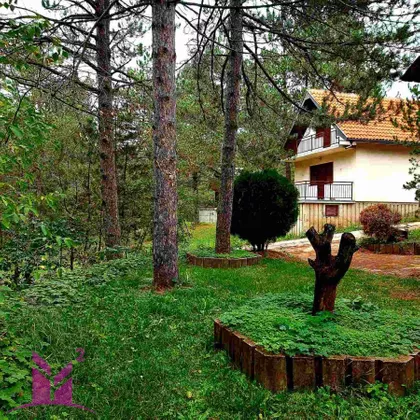 Sloboda | 4zida.rs
