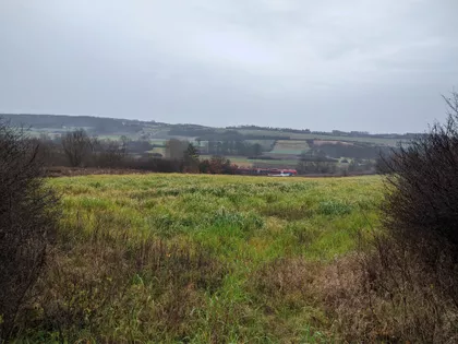 Drenjačka | 4zida.rs
